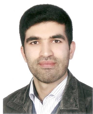 محمدرضا مددي